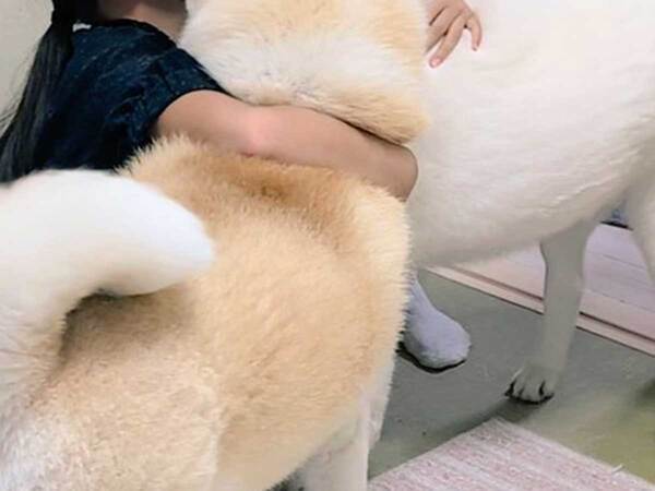 リコーダーを練習する娘　その後の光景に「なんて幸せな世界なんだ」