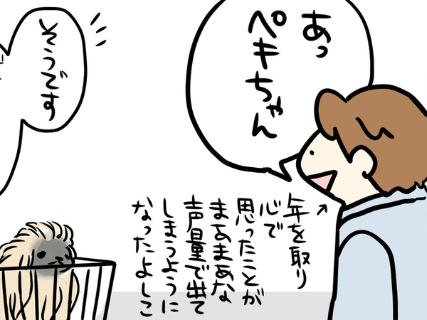 通りすがりの客「犬好き？」　抱っこさせてもらうと…「人間冥利に尽きる」