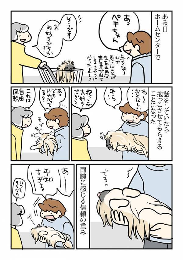 通りすがりの客「犬好き？」　抱っこさせてもらうと…「人間冥利に尽きる」