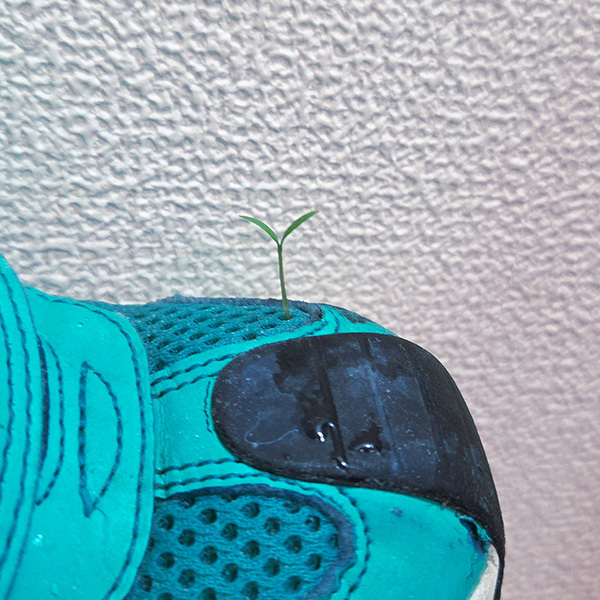 ３歳児の『靴』に１８万人が注目！　「こんなことがあるのか」「平和がここにある！」