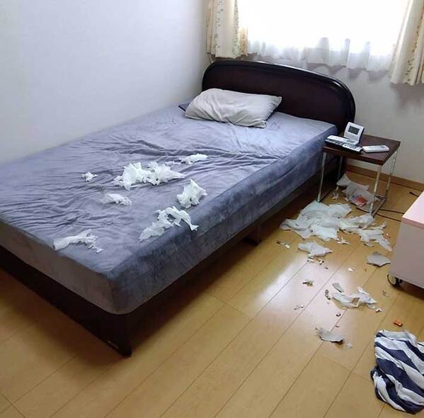 「絶対に何かしでかしています」　飼い主が確信した柴犬の顔が…「笑った」「出てるよ」