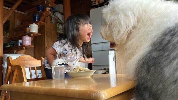 邪魔をされて怒る３歳児　その相手とは…？「平和すぎる戦い」「肝っ玉が据わってる」