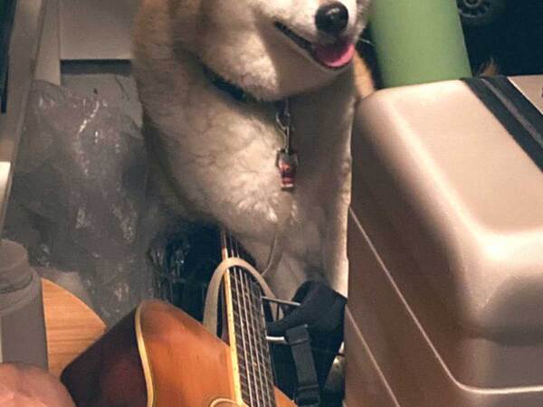 物置きに閉じ込められてしまい…　助けに来た『救世主』の姿がこちら！