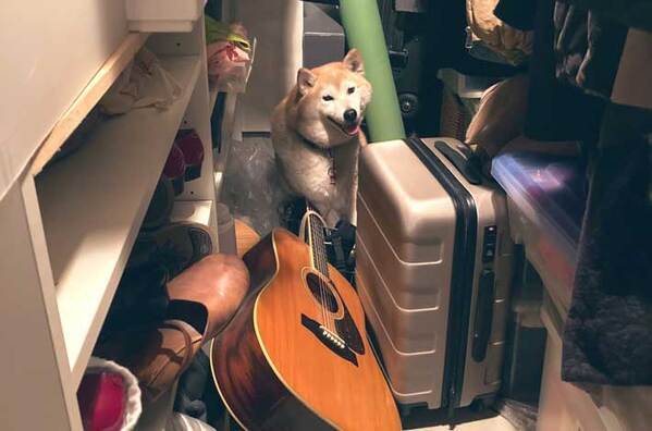 物置きに閉じ込められてしまい…　助けに来た『救世主』の姿がこちら！