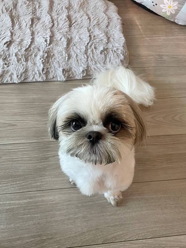 『金髪マッシュボブ』の女性…と思いきや？　正面からの１枚に「思わず笑った」