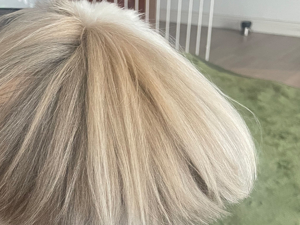 『金髪マッシュボブ』の女性…と思いきや？　正面からの１枚に「思わず笑った」