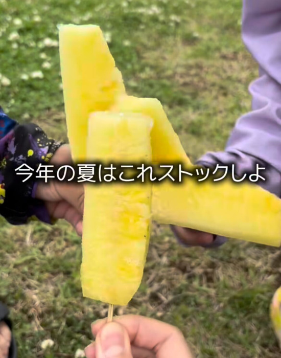 パインを切って冷凍するだけ！　手軽すぎるひんやりスイーツに「これ作る」「天才」