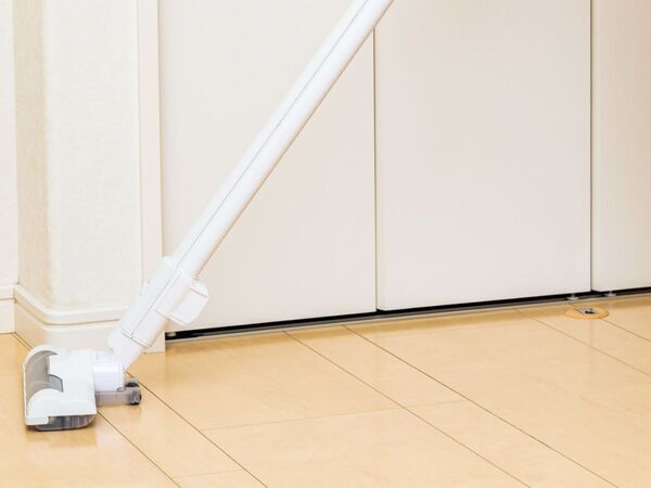 順番が逆だった？　ペットの毛が驚くほど取れる掃除法に「すぐ試す」「助かる」