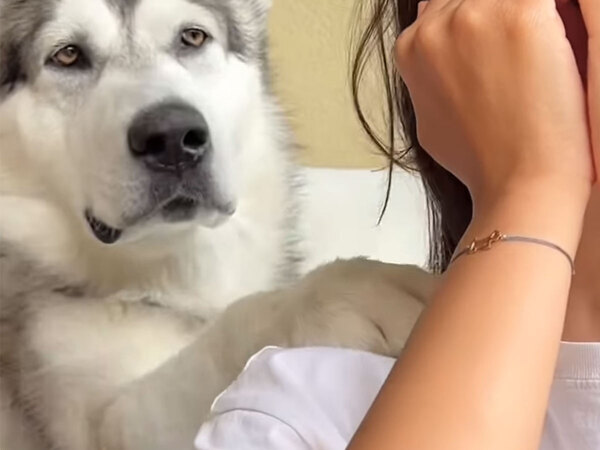 飼い主「心がとろけました」　愛犬の目の前で泣いているフリをしたら…？