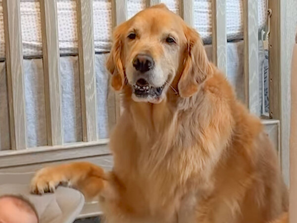 赤ちゃんの様子を見に行くと？　母親が吹き出した理由に「信じられない！」