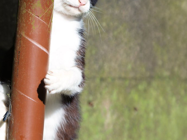 つい息をひそめてしまう…　『張り込み刑事』の１枚に「いい顔すぎる」「差し入れしたい」