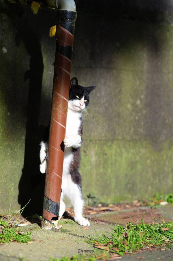 つい息をひそめてしまう…　『張り込み刑事』の１枚に「いい顔すぎる」「差し入れしたい」