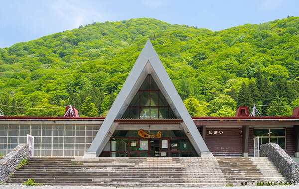 「ホラー映画みたいだ…」　外国人が訪れた『日本一深い駅』に「絶対に行ってみたい！」