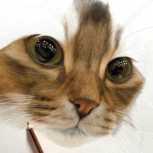 瞳がつぶらな猫の写真　隠された秘密が？「ウソでしょ」