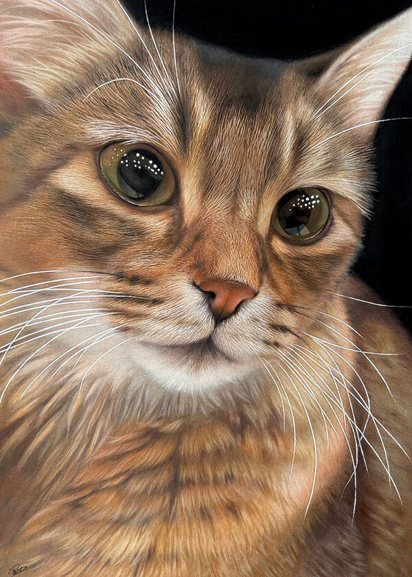 瞳がつぶらな猫の写真　隠された秘密が？「ウソでしょ」