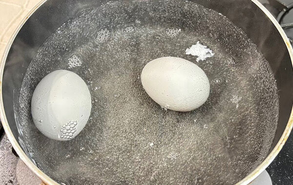 「いつものゆで卵がごちそうに！」　タッパーに入れたのは、お湯と…？