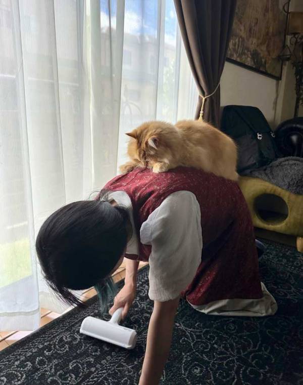 掃除をしながら文句をいう妻　背中にいたのが？「最高かよ」「憑りつかれてる」