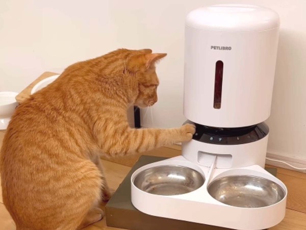 給餌機をタッチする猫　その後の展開に「天才すぎる！」「チャックついてない？」