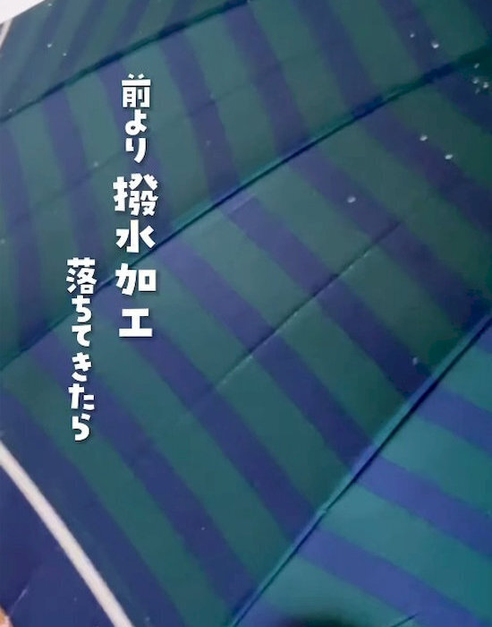 雨を弾かなくなった傘　撥水加工の復活テクに「これすごい」「一生やる」
