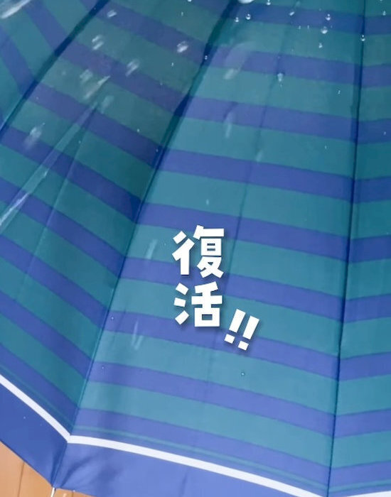 雨を弾かなくなった傘　撥水加工の復活テクに「これすごい」「一生やる」