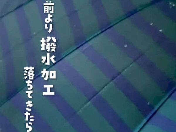 雨を弾かなくなった傘　撥水加工の復活テクに「これすごい」「一生やる」