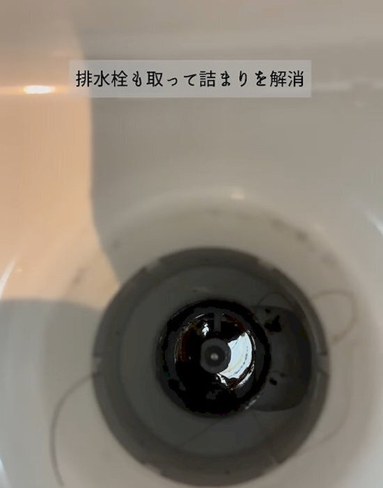 洗面台の排水口は年に一度の掃除を！　詰まりの原因は…　「そうだったのか」「やります」