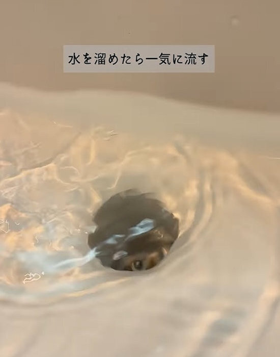 洗面台の排水口は年に一度の掃除を！　詰まりの原因は…　「そうだったのか」「やります」