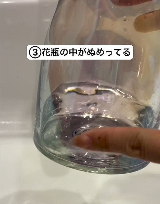 蚊が発生する家に共通する3つの行動！　意外な盲点に「知らなかった」「すぐ改善する」