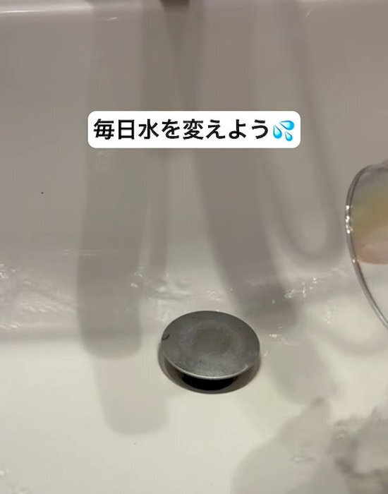 蚊が発生する家に共通する3つの行動！　意外な盲点に「知らなかった」「すぐ改善する」