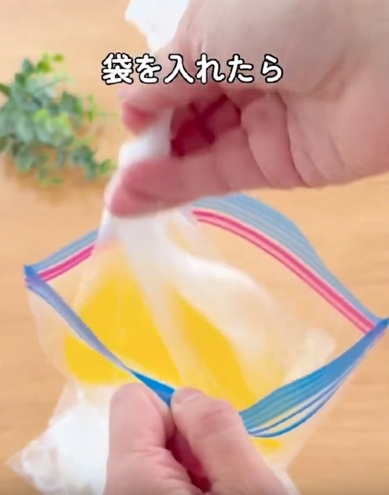 袋でもむだけ！　自分好みのシャーベットに「これは楽しい」「子供も喜ぶ」