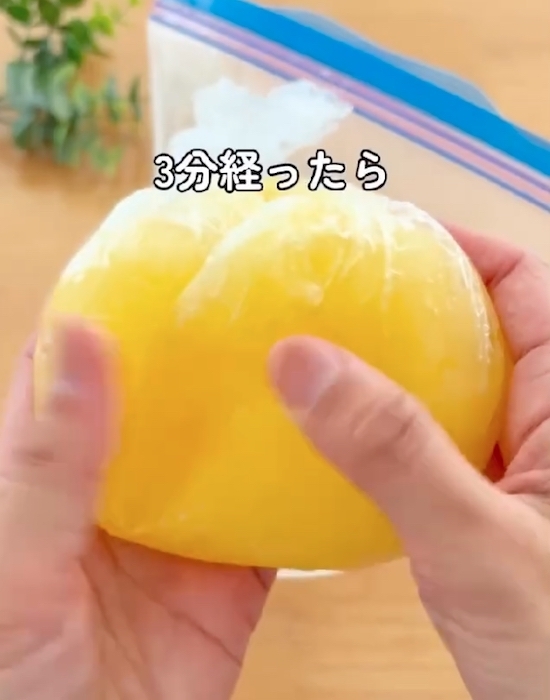 袋でもむだけ！　自分好みのシャーベットに「これは楽しい」「子供も喜ぶ」