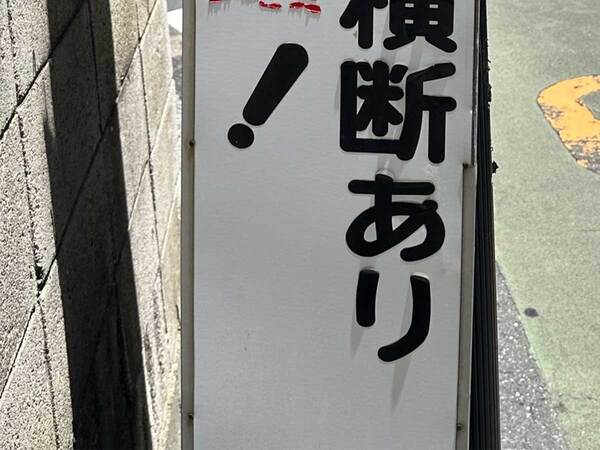 ギリギリ読める看板？　文字に「鳥肌が立った」「読みにくい」