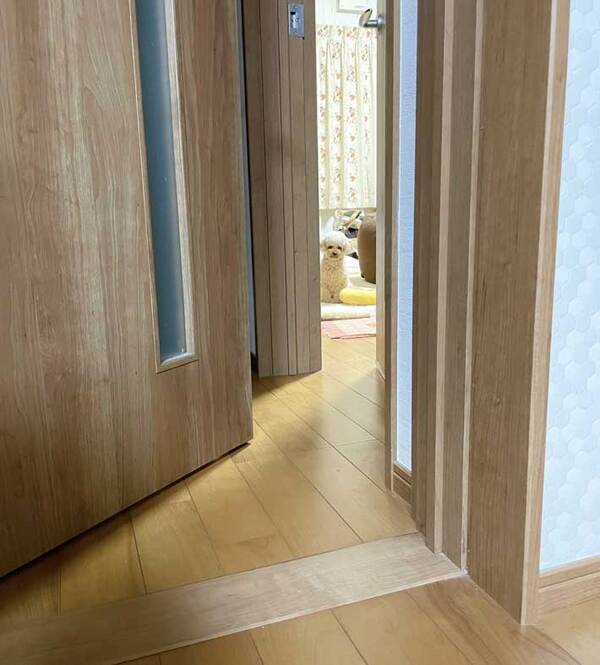 愛犬がいない…？　5分後の光景に飼い主が爆笑