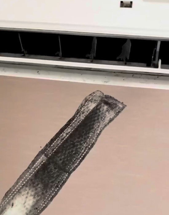 フィルター以外も掃除してみて！　100円ショップのアイテムで奥まで届く方法に「知らなかった」「スッキリした」