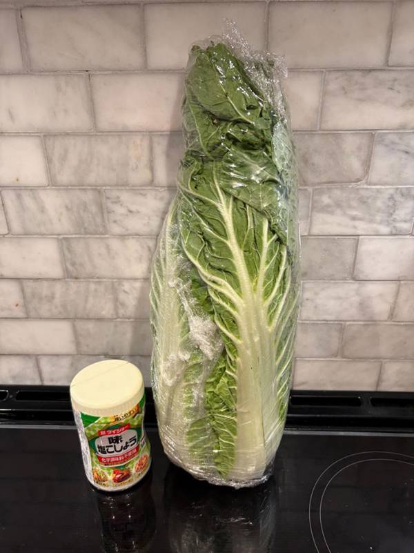 夫「これしかなかった…」　買ってきた食材に「強調がすごい」「もはや戦車の弾じゃん」