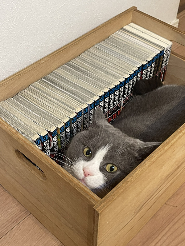 『鬼滅の刃』を観に行こうと思ったら？　目にした光景に「これは勝てない」「強敵だ…」