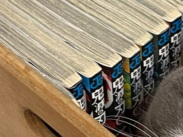 『鬼滅の刃』を観に行こうと思ったら？　目にした光景に「これは勝てない」「強敵だ…」