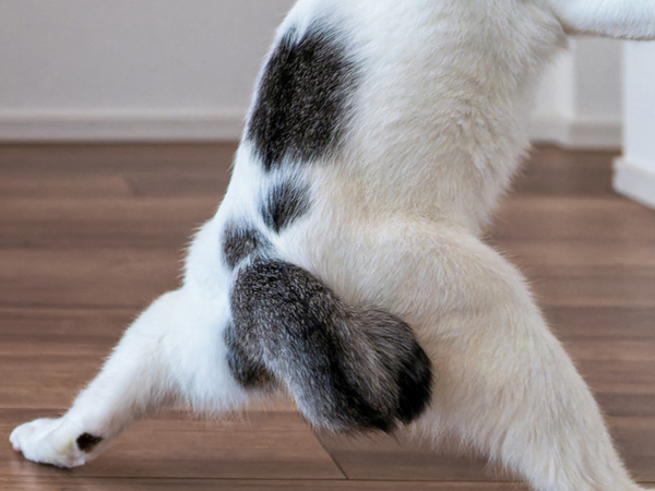 「勧誘されたらつい鬼になっちゃうかも」　『鬼滅の刃』を彷彿とさせる1枚が話題に！