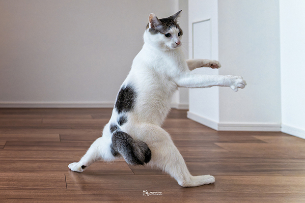 「勧誘されたらつい鬼になっちゃうかも」　『鬼滅の刃』を彷彿とさせる1枚が話題に！