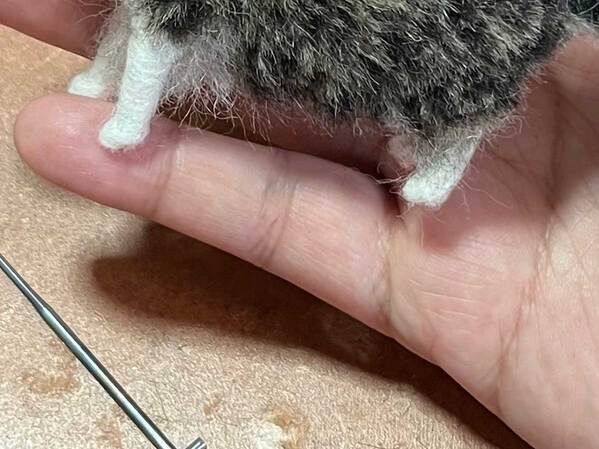 羊毛フェルトの作品に『8万いいね』　理由が分かる写真に「びっくりした」「え、すごい」