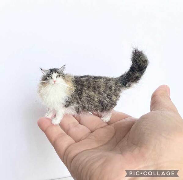 羊毛フェルトの作品に『8万いいね』　理由が分かる写真に「びっくりした」「え、すごい」