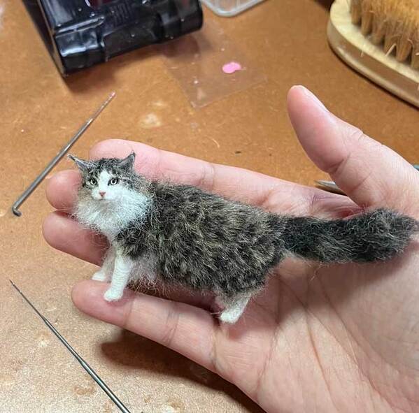 羊毛フェルトの作品に『8万いいね』　理由が分かる写真に「びっくりした」「え、すごい」