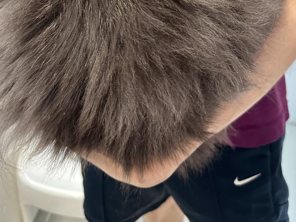 シャンプーが嫌な猫　見せた姿に「ごめん笑ったわ」「どういうこと！？」