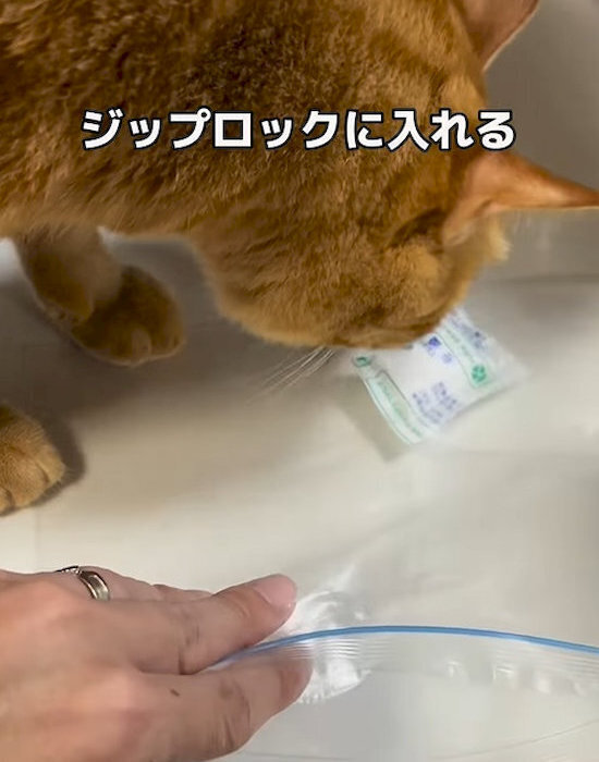 瞬間接着剤の固まらない保管方法に「知らなかった」「また買わずに済む」