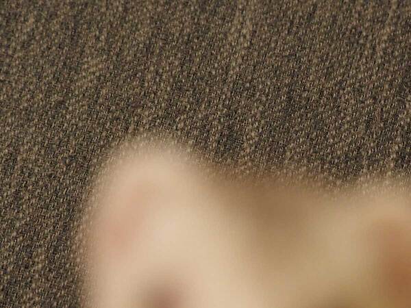 妻「夫にカメラを渡したら…」　写真に「笑ってしまった」「素晴らしい！」