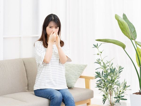 生活臭がしみついた部屋　原因と解決法は？　企業が教えるニオイゼロ習慣