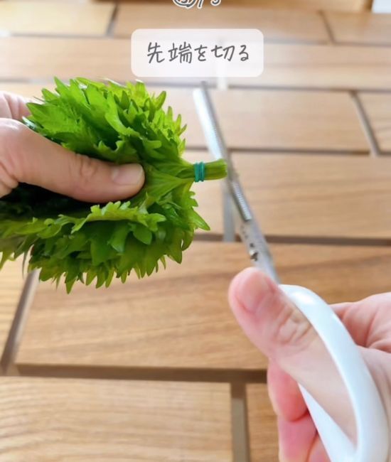 ミニトマトが3週間ももつなんて！　野菜の裏技5選に「全部知らなかった…」