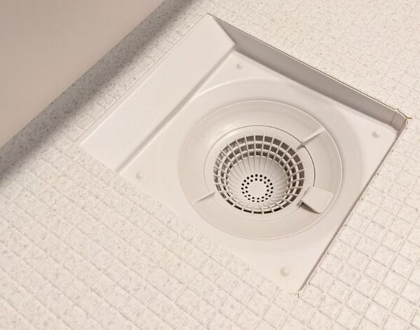 排水口の蓋、どうしてる？　意外としらないメリットとデメリットに「初耳」