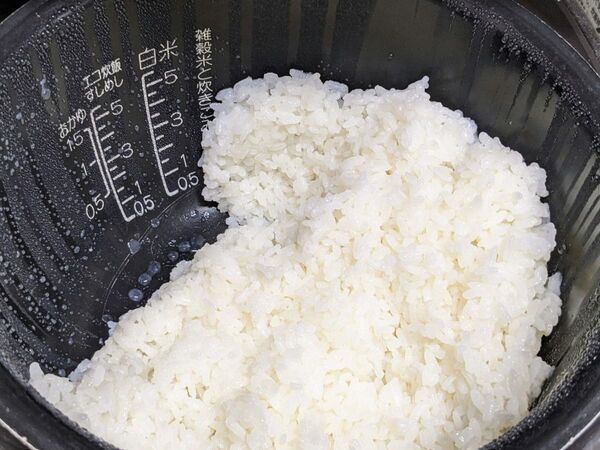 炊飯器の便利機能に潜む落とし穴　夏場は「要注意」「知らなかった」