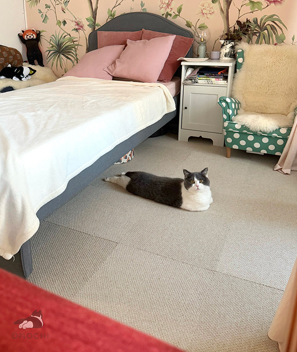 「笑いがこらえきれない」「中身は人間？」　飼い主が振り返ると猫が？